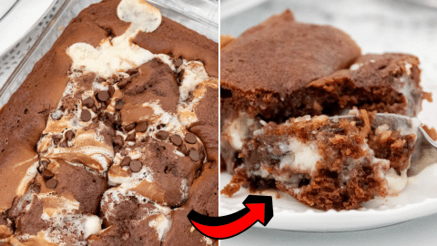 The Easiest Earthquake Cake Recipe | DIY Joy Projects and Crafts Ideas