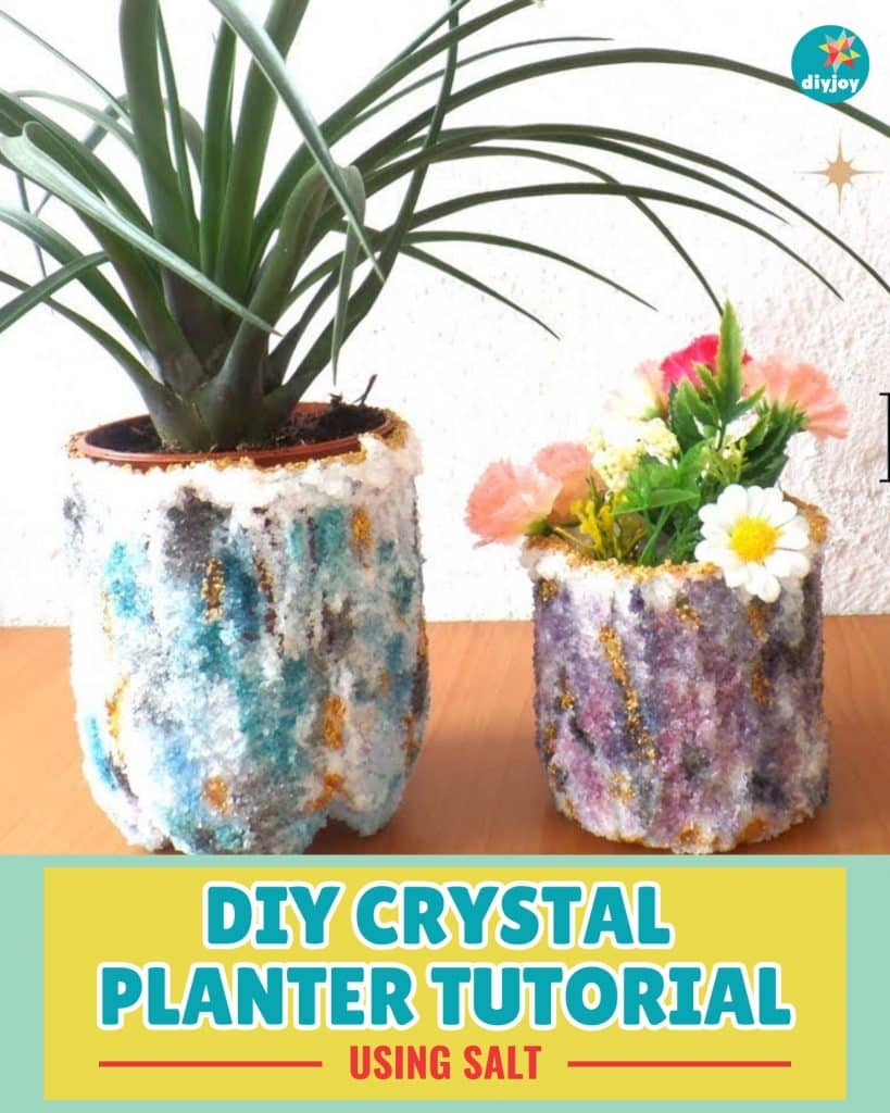 DIY Crystal Planter using Salt