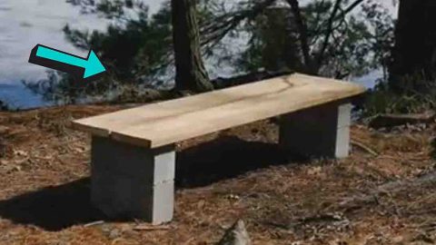 No-Cut, No-Screw Beginner Backyard Bench | DIY Joy Projects and Crafts Ideas