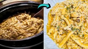 Slow Cooker Gravy & Chicken with Noodles