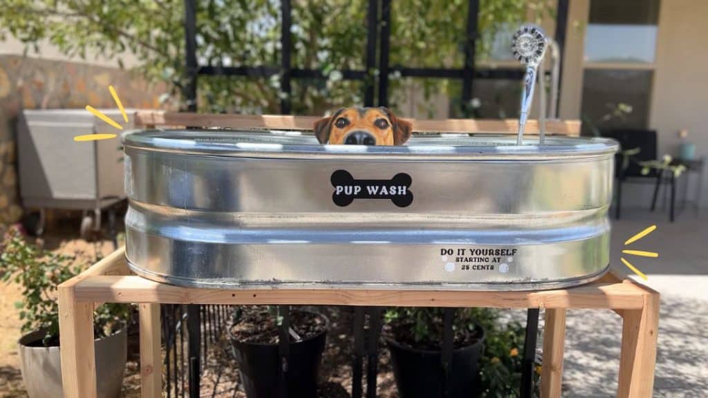 DIY Dog Wash Station