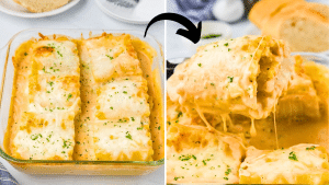 Easy Chicken Alfredo Lasagna Roll-Ups Recipe