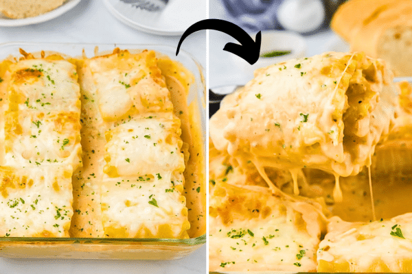 Easy Chicken Alfredo Lasagna Roll-Ups Recipe