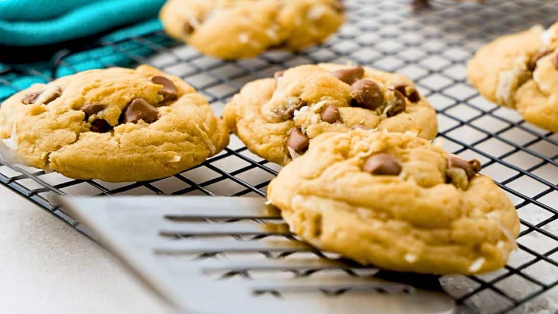 Easy Coconut Chocolate Chip Cookies | DIY Joy Projects and Crafts Ideas