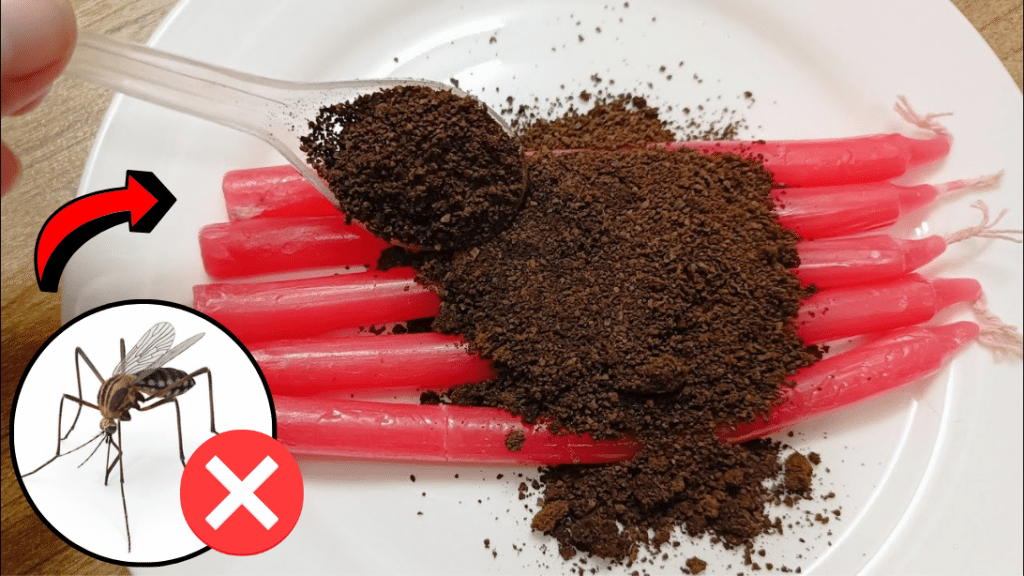Easy DIY Coffee Candle That Repels Insects
