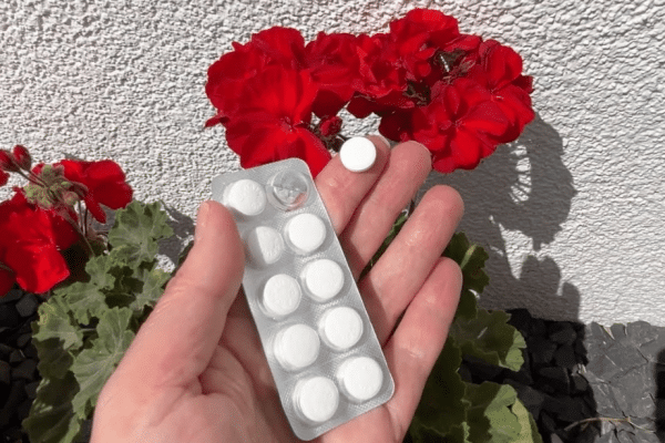 How to Revive Your Sunburnt Plants Instantly