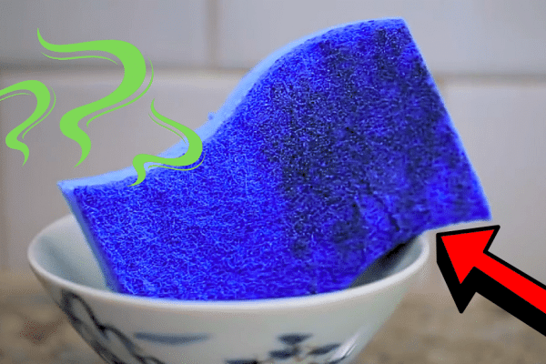 How to Sanitize Your Sponge in 2 Minutes or Less