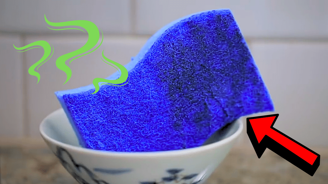 How to Sanitize Your Sponge in 2 Minutes or Less | DIY Joy Projects and Crafts Ideas