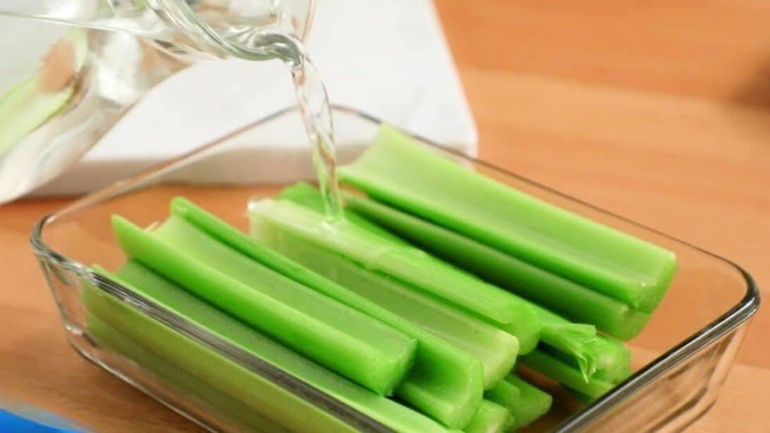 The Secret to Keeping Celery Crisp | DIY Joy Projects and Crafts Ideas