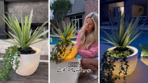 Viral TikTok DIY Lit Planters