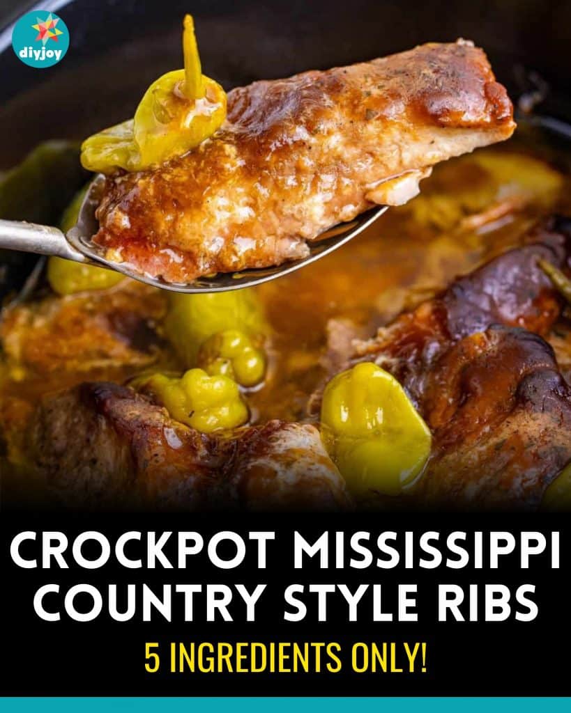 Crockpot Mississippi Country Style Ribs Recipe