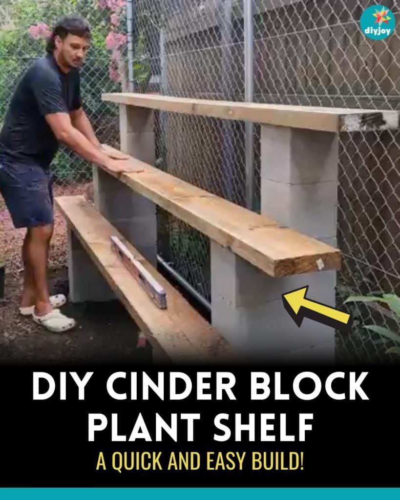 Easy DIY Cinder Block Plant Shelf