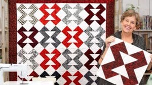 Brown Goose Quilt With Jenny Doan