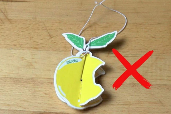 Car Deodorizing Hack That Lasts for Ages