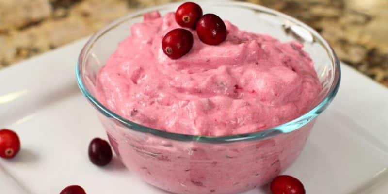 Grandma’s Fresh Cranberry Fluff | DIY Joy Projects and Crafts Ideas