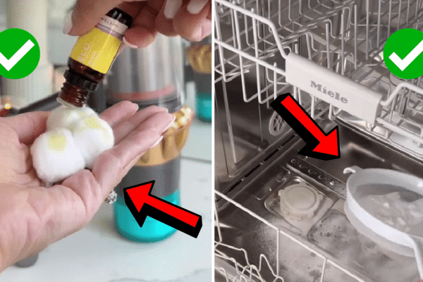 How to Make Your Home Smell Expensive