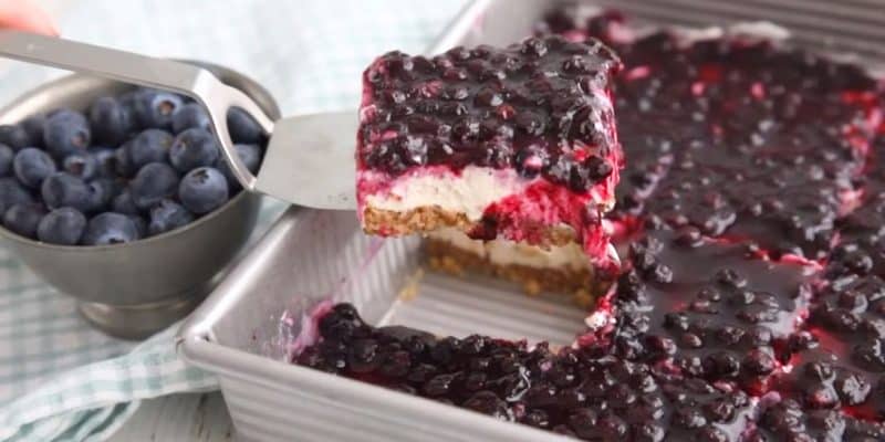 Keto Blueberry Dessert | DIY Joy Projects and Crafts Ideas