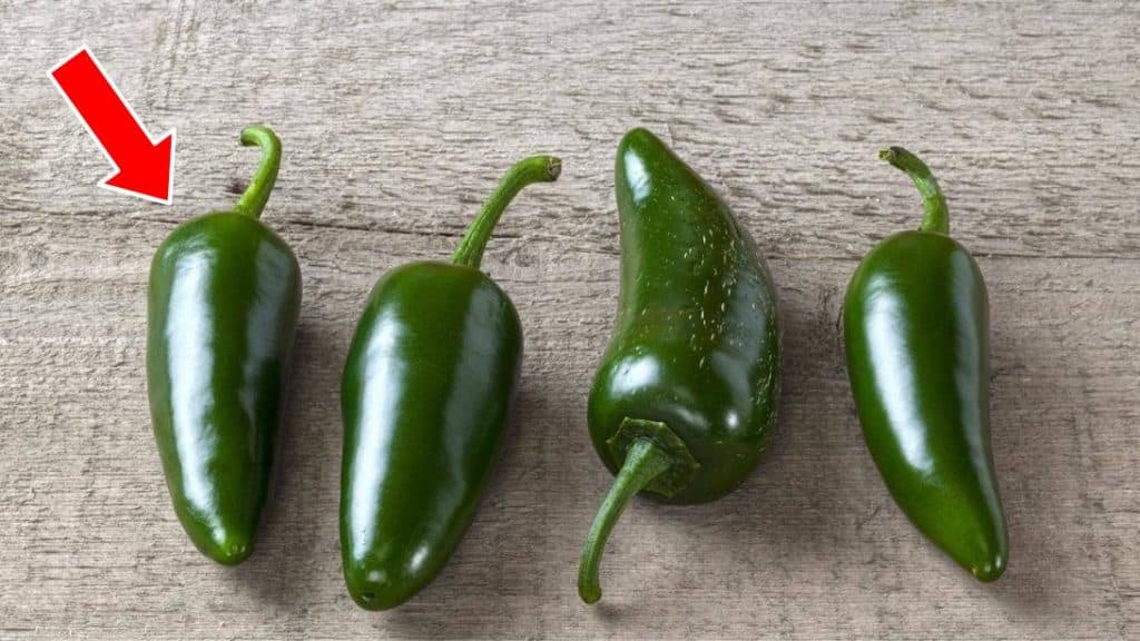 The Trick to Picking a Hotter or Less Spicy Jalapeno Pepper