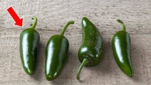 The Trick to Picking a Spicy or Less Spicy Jalapeno Pepper