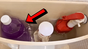 DIY 24-Hour Toilet Freshener & Disinfectant