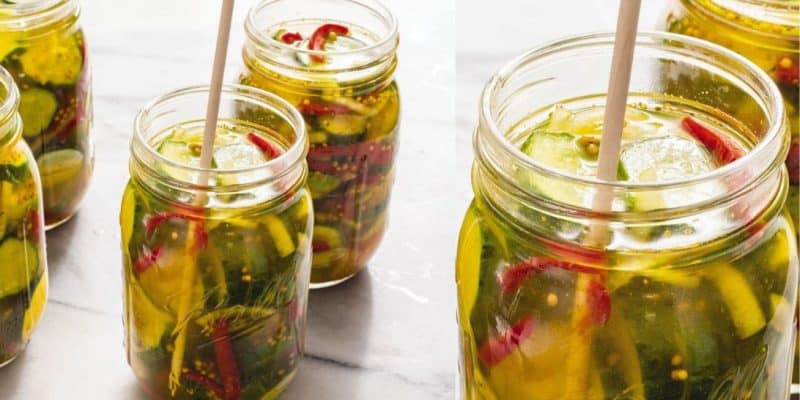 Bread and Butter Pickles Recipe | DIY Joy Projects and Crafts Ideas