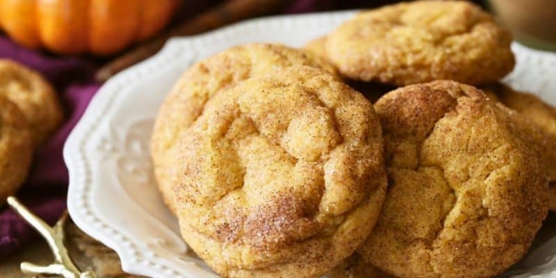 Chewy Pumpkin Snickerdoodles | DIY Joy Projects and Crafts Ideas