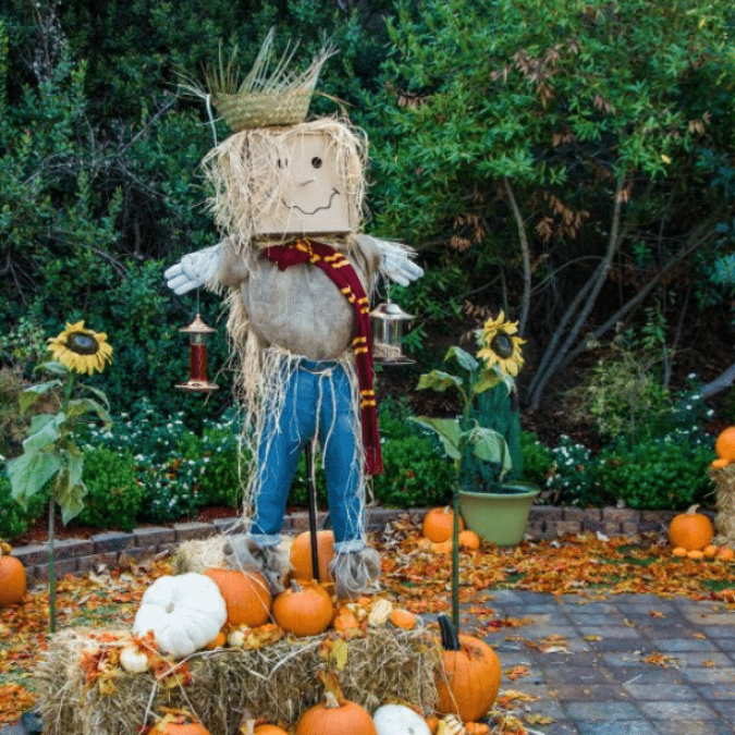 Fall Scarecrow Decoration Ideas: Creative & Cozy Autumn Crafts