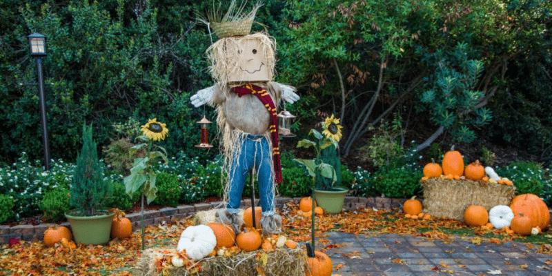 Easy DIY Scarecrow Bird Feeder | DIY Joy Projects and Crafts Ideas