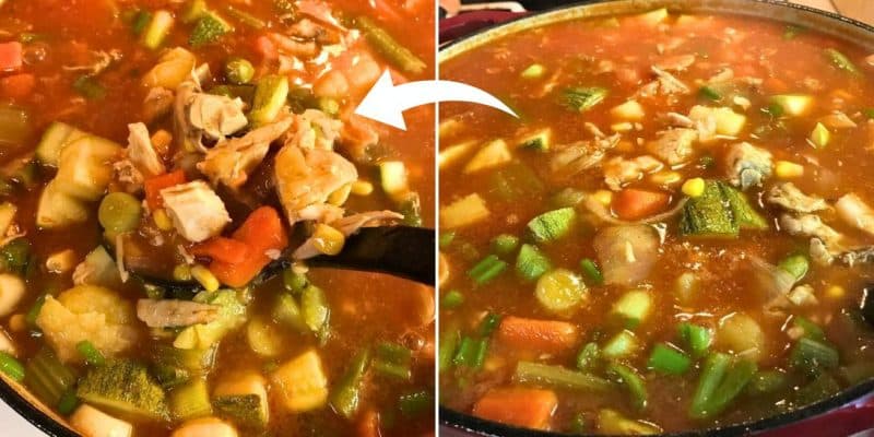 Old School Chicken and Vegetable Soup | DIY Joy Projects and Crafts Ideas