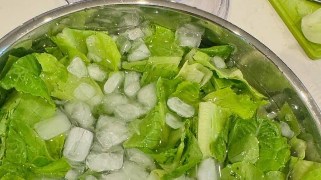 Restaurant Secret To Crisping Limp Lettuce (2)