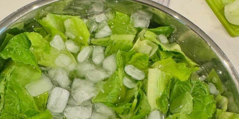 Restaurant Secret to Crisping Limp Lettuce | DIY Joy Projects and Crafts Ideas