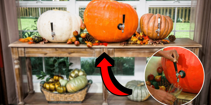 Super Easy DIY Pumpkin Kegs | DIY Joy Projects and Crafts Ideas