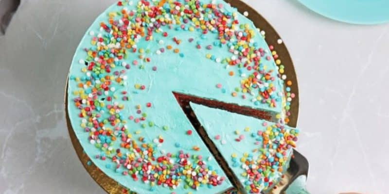 The Right Way to Cut a Cake | DIY Joy Projects and Crafts Ideas