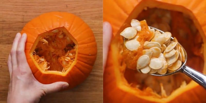 Ways to Use Leftover Pumpkins | DIY Joy Projects and Crafts Ideas