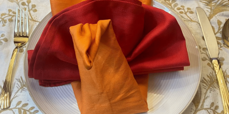 Easy Thanksgiving Turkey Folded Napkin | DIY Joy Projects and Crafts Ideas