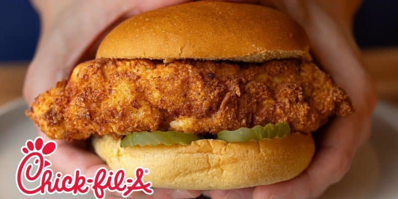 Chick-fil-A Chicken Sandwich With Walmart Ingredients | DIY Joy Projects and Crafts Ideas