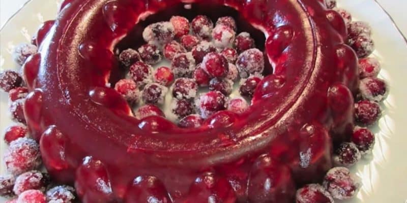 Cranberry Jello Salad | DIY Joy Projects and Crafts Ideas