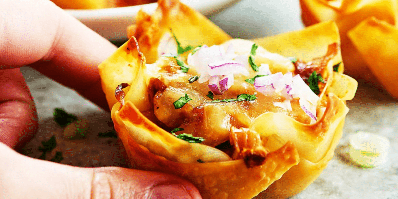 Easy Chicken Wonton Cups Recipe | DIY Joy Projects and Crafts Ideas