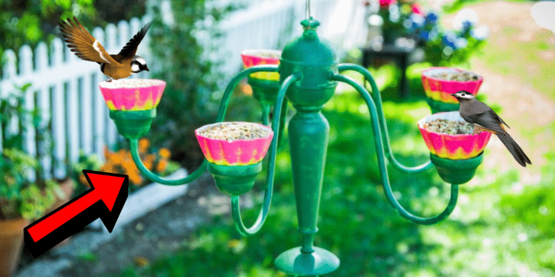 How to Turn an Old Chandelier Into a Bird Feeder | DIY Joy Projects and Crafts Ideas