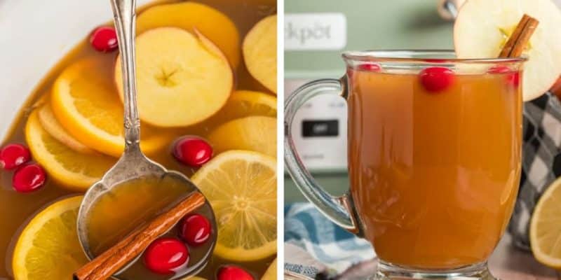 Slow Cooker Apple Cider | DIY Joy Projects and Crafts Ideas