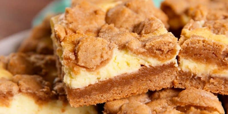 Snickerdoodle Cheesecake Bars | DIY Joy Projects and Crafts Ideas