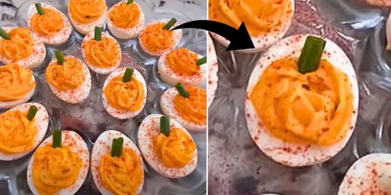 Thanksgiving Deviled Eggs | DIY Joy Projects and Crafts Ideas