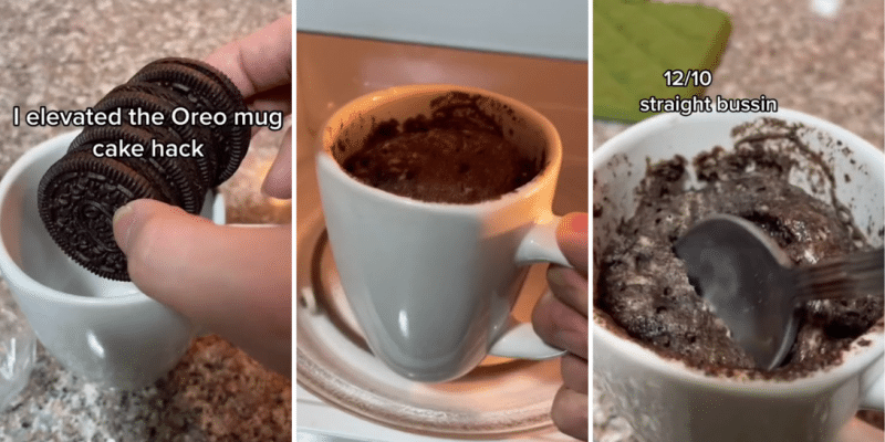 Viral Oreo Mug Cake Hack! | DIY Joy Projects and Crafts Ideas