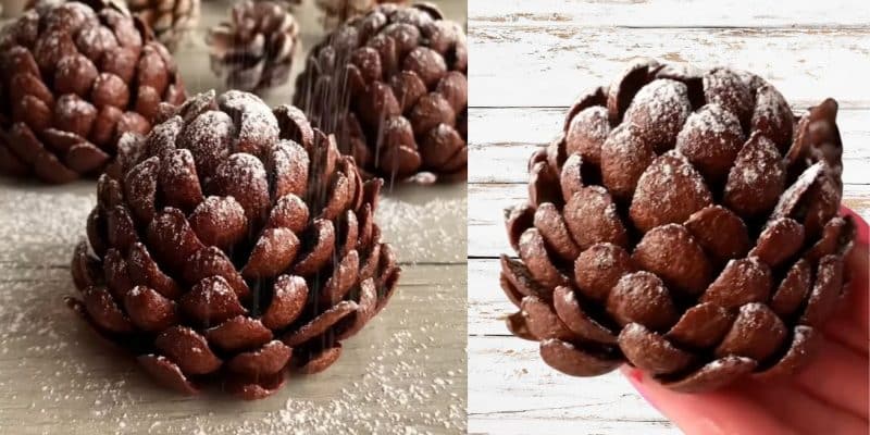 3-Ingredient Chocolate Pinecones | DIY Joy Projects and Crafts Ideas