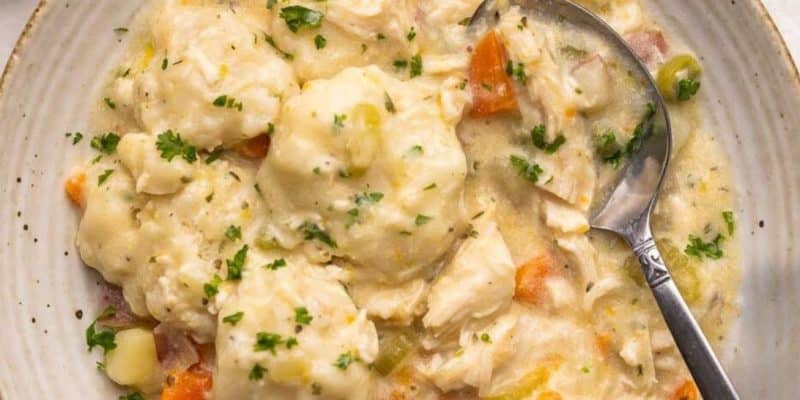 Crockpot Chicken and Dumplings | DIY Joy Projects and Crafts Ideas