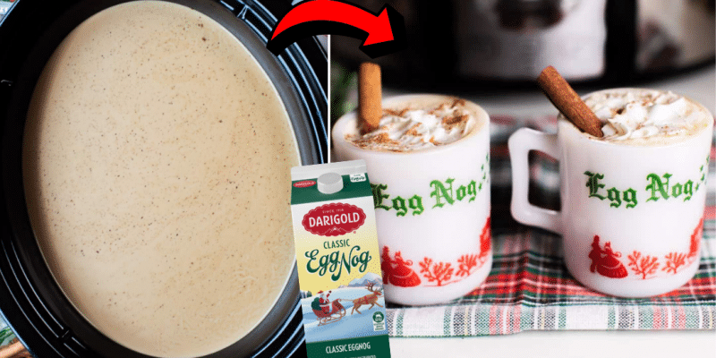 Easy Crockpot Eggnog Latte Recipe | DIY Joy Projects and Crafts Ideas