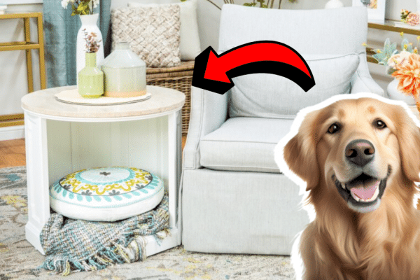 Easy DIY Upcycled Table/Dog Bed