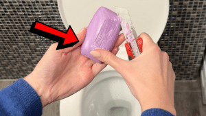 Easy Toilet Limescale Cleaning Hack