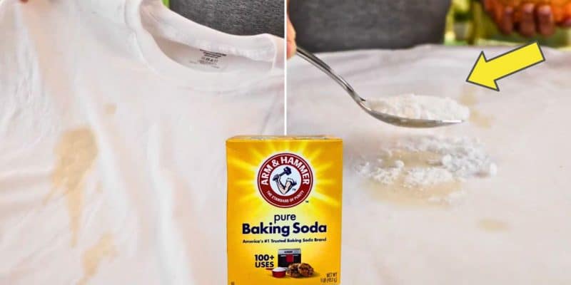 How to Get Rid of Grease Stains | DIY Joy Projects and Crafts Ideas