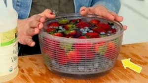 How to Keep Berries Fresh and Mold Free